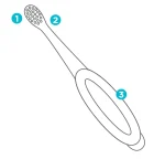 Brush Buddies my first dental kit include finger tooth brush travel case toddler tooth brush & little one tooth brush set - Image 4