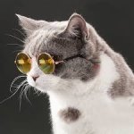 Cat-Sized Round Sunglasses - Image 5