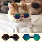 Cat-Sized Round Sunglasses - Image 3