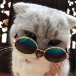 Cat-Sized Round Sunglasses - Image 2