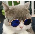 Cat-Sized Round Sunglasses