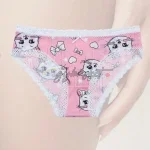 SHEIN A set of 2-piece cartoon cat print underwear
