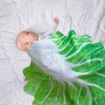 Funny Cabbage-Shaped Nap Blanket - Image 3