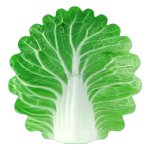 Funny Cabbage-Shaped Nap Blanket - Image 6