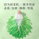 Funny Cabbage-Shaped Nap Blanket - Image 5