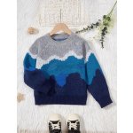 Shein Boys' Self-Design Sleeves Sweater