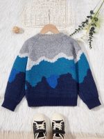 Shein Boys' Self-Design Sleeves Sweater - Image 2