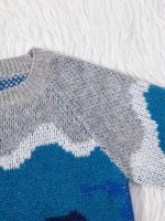 Shein Boys' Self-Design Sleeves Sweater - Image 6