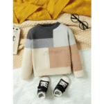 SHEIN boys Color Block Crew
