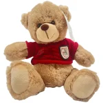 premium teddy bear with mixed colors tshirt
