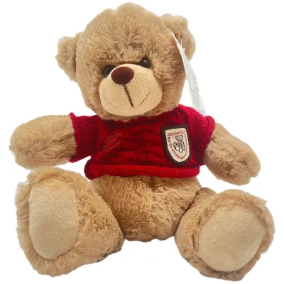 premium teddy bear with mixed colors tshirt
