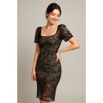 SHEIN Sweet Sultry Sheer Lace Mini Dress
