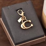 Coach chain - Image 2