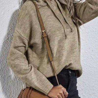 SHEIN Drawstring Hooded Sweater